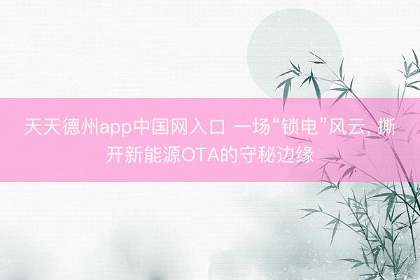 天天德州app中国网入口 一场“锁电”风云， 撕开新能源OTA的守秘边缘