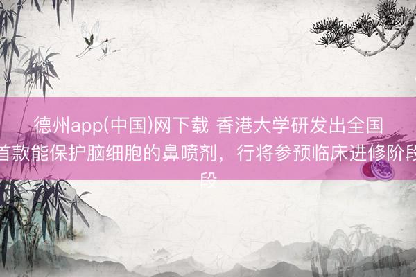 德州app(中国)网下载 香港大学研发出全国首款能保护脑细胞的鼻喷剂，行将参预临床进修阶段