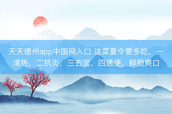 天天德州app中国网入口 这菜夏令要多吃,一清热,二抗炎,三去湿,四通便,鲜脆爽口