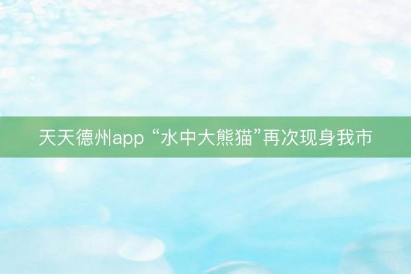天天德州app “水中大熊猫”再次现身我市