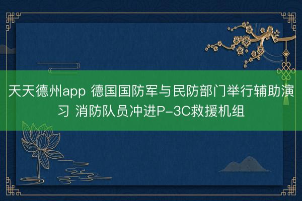 天天德州app 德国国防军与民防部门举行辅助演习 消防队员冲进P-3C救援机组
