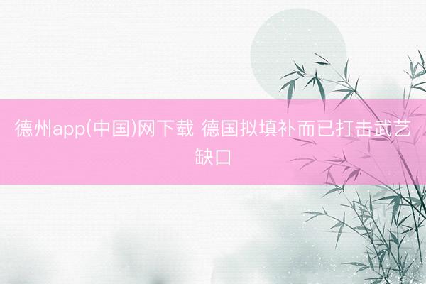 德州app(中国)网下载 德国拟填补而已打击武艺缺口