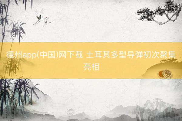 德州app(中国)网下载 土耳其多型导弹初次聚集亮相