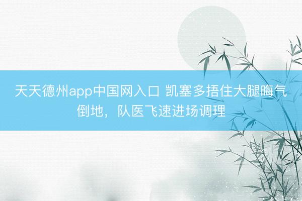 天天德州app中国网入口 凯塞多捂住大腿晦气倒地，队医飞速进场调理