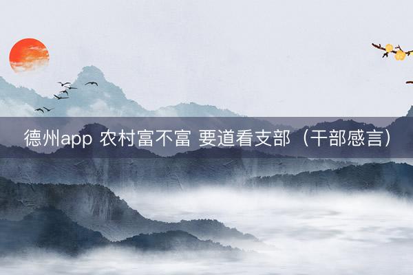 德州app 农村富不富 要道看支部（干部感言）