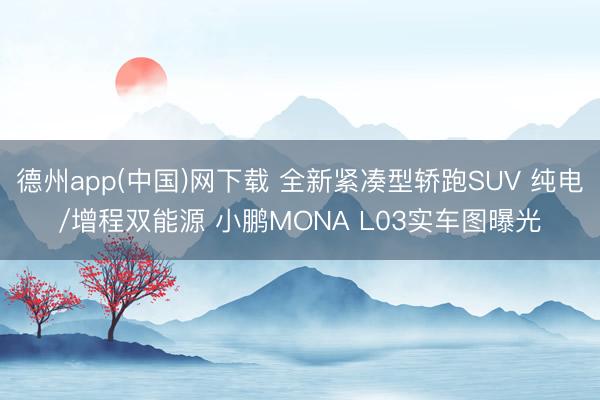 德州app(中国)网下载 全新紧凑型轿跑SUV 纯电/增程双能源 小鹏MONA L03实车图曝光