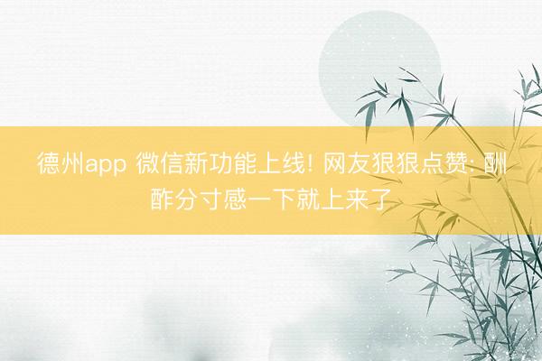 德州app 微信新功能上线! 网友狠狠点赞: 酬酢分寸感一下就上来了