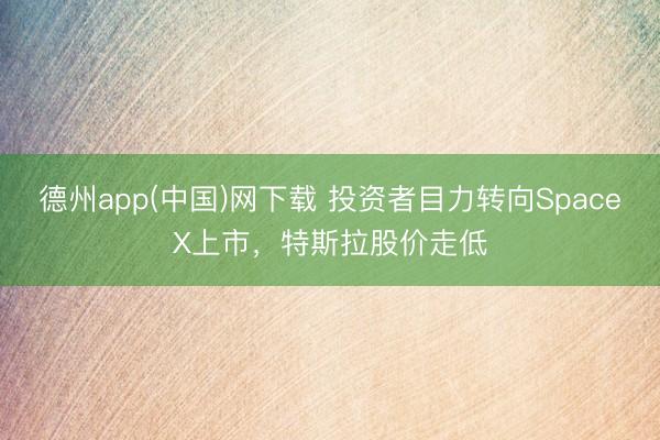 德州app(中国)网下载 投资者目力转向SpaceX上市，特斯拉股价走低