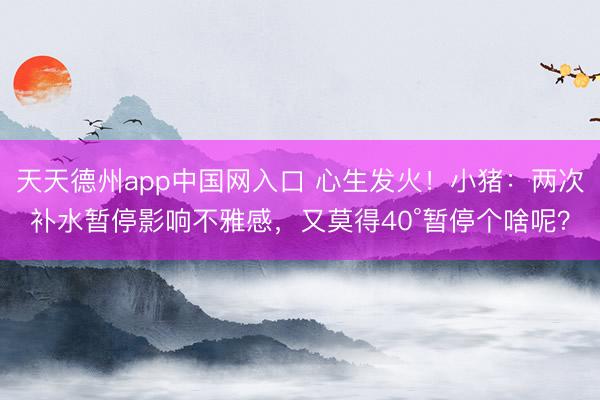 天天德州app中国网入口 心生发火！小猪：两次补水暂停影响不雅感，又莫得40°暂停个啥呢？